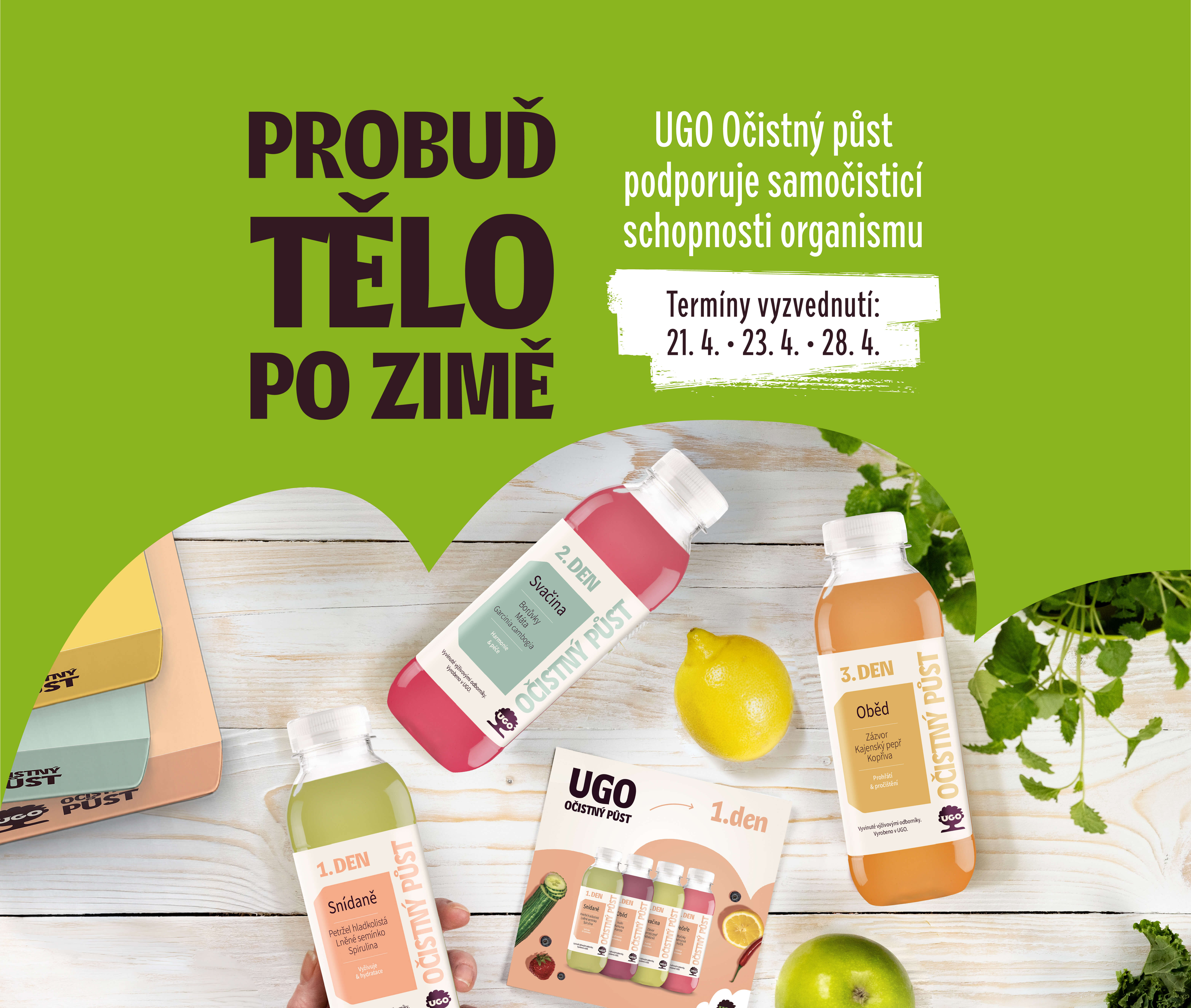 showcase--tablet--portrait